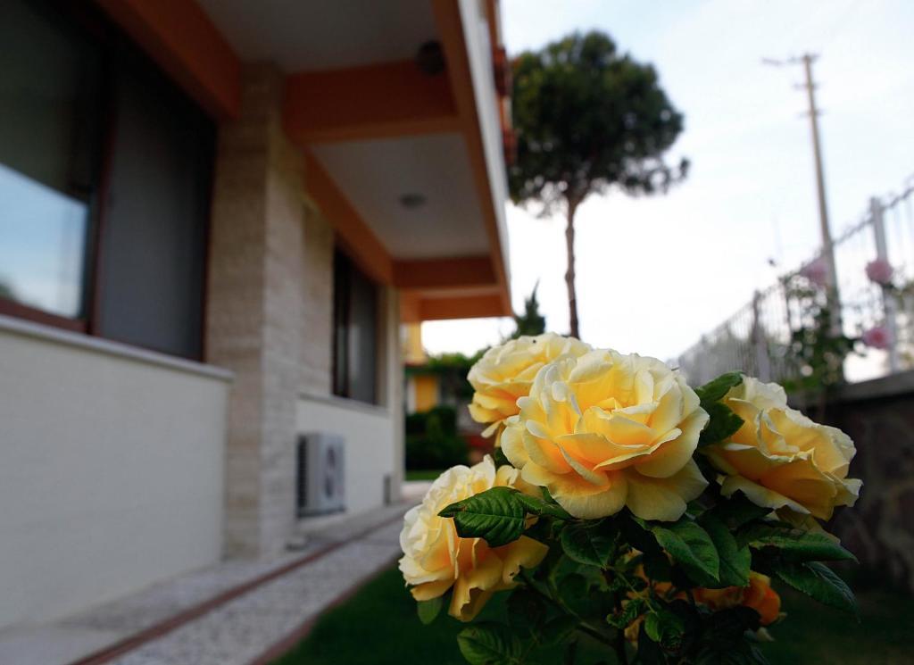 Villa Fokai Hotel Yenifoca Esterno foto